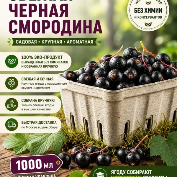 Черная смородина купить в Москве