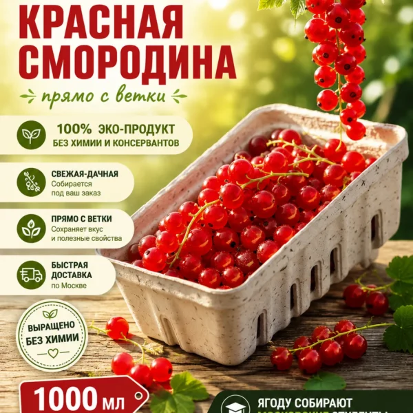 Красная смородина купить в Москве