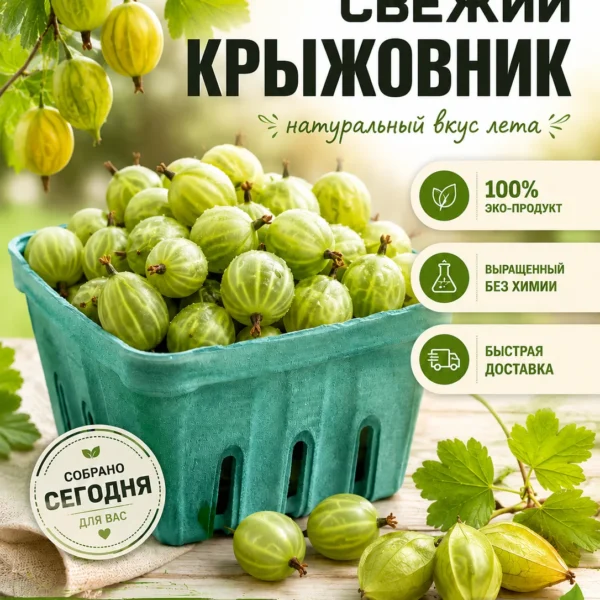 Купить свежий крыжовник в Москве