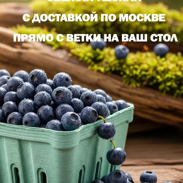 Свежая лесная черника с доставкой по Москве