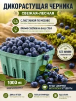 Свежая лесная черника с доставкой по Москве