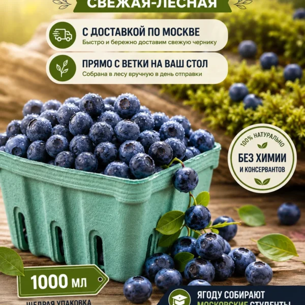 Свежая лесная черника с доставкой по Москве