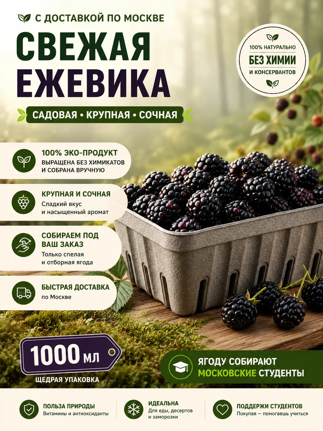 kupit'-ezheviku-v-moskve-mosyagodka Купить ежевику в Москве