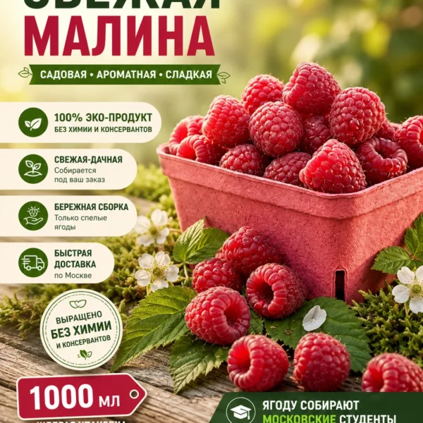 Купить свежую малину в Москве